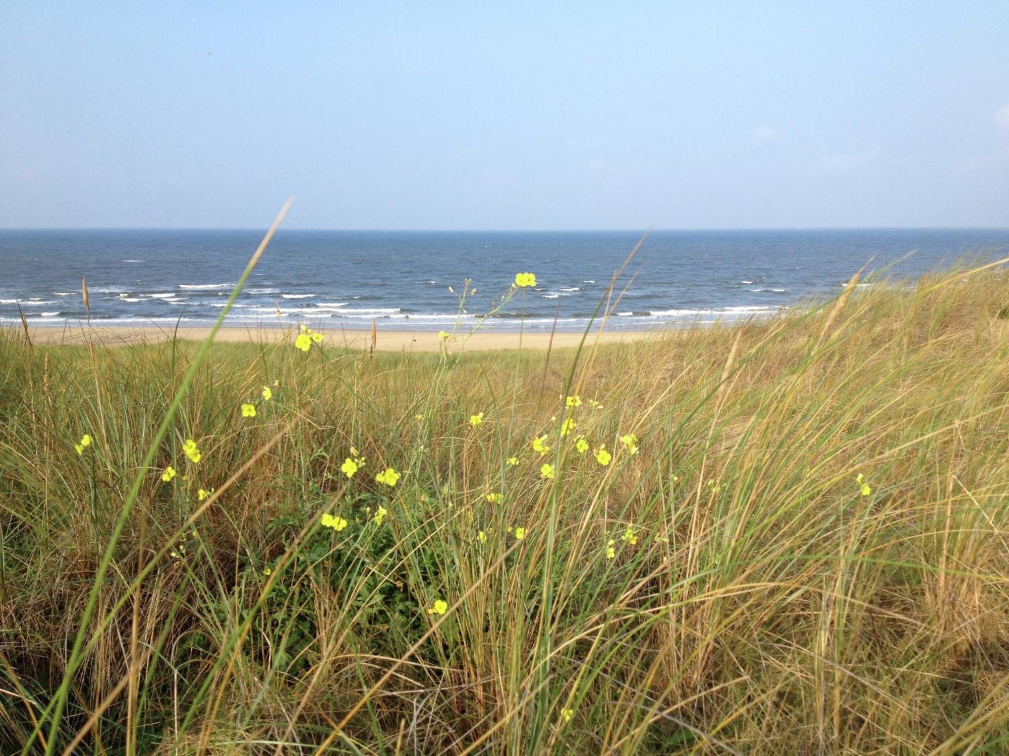Stunning Apartment In Schoorl North Holland You Can Bike To The Beach Екстер'єр фото